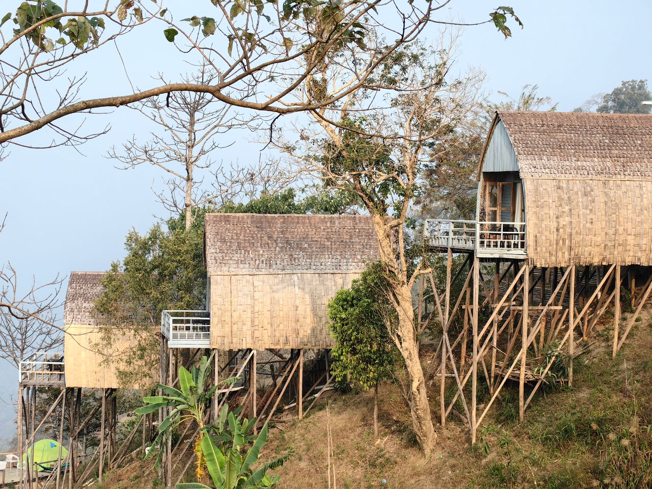 Tranquil view of bamboo treehouses amidst trees, ideal for eco-tourism.